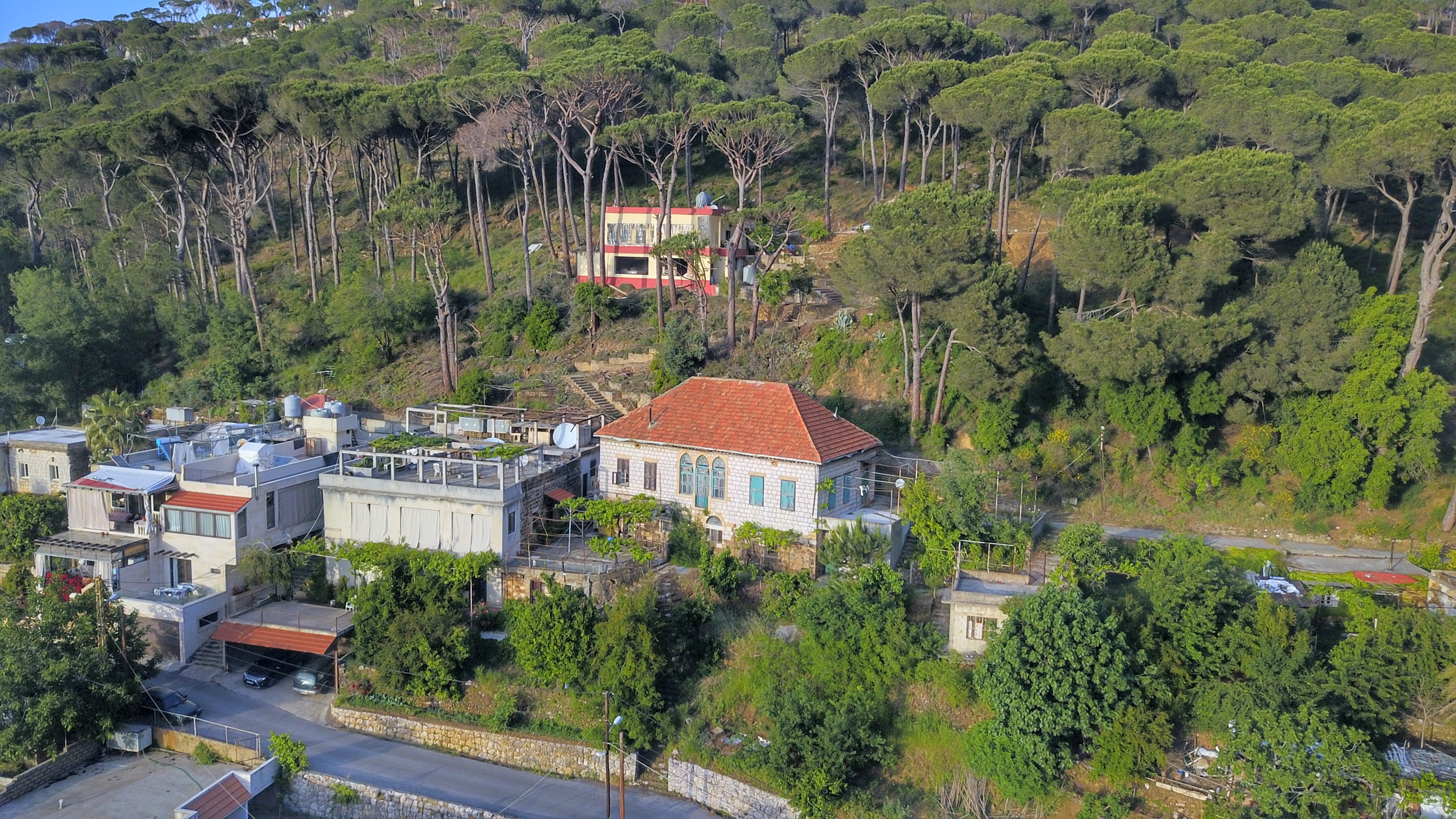 Hasbaya
